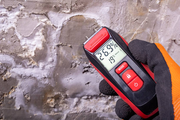 Best Crawl Space Mold Remediation in Sansom Park, TX