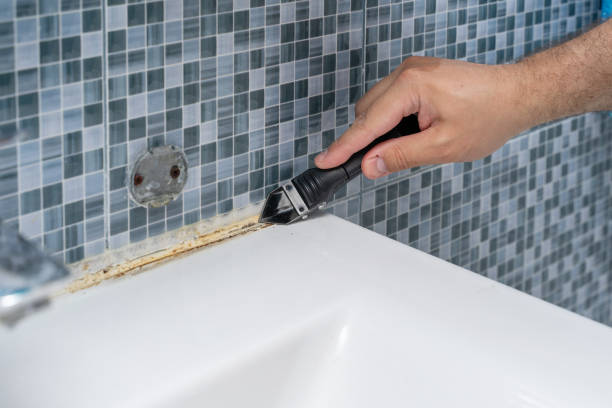 Best Localized Mold Remediation (e.g., coastal areas, humid climates) in Sansom Park, TX