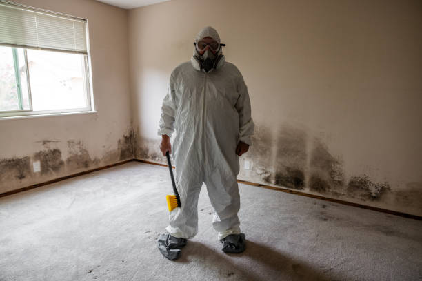 Best DIY Mold Remediation Support Services in Sansom Park, TX